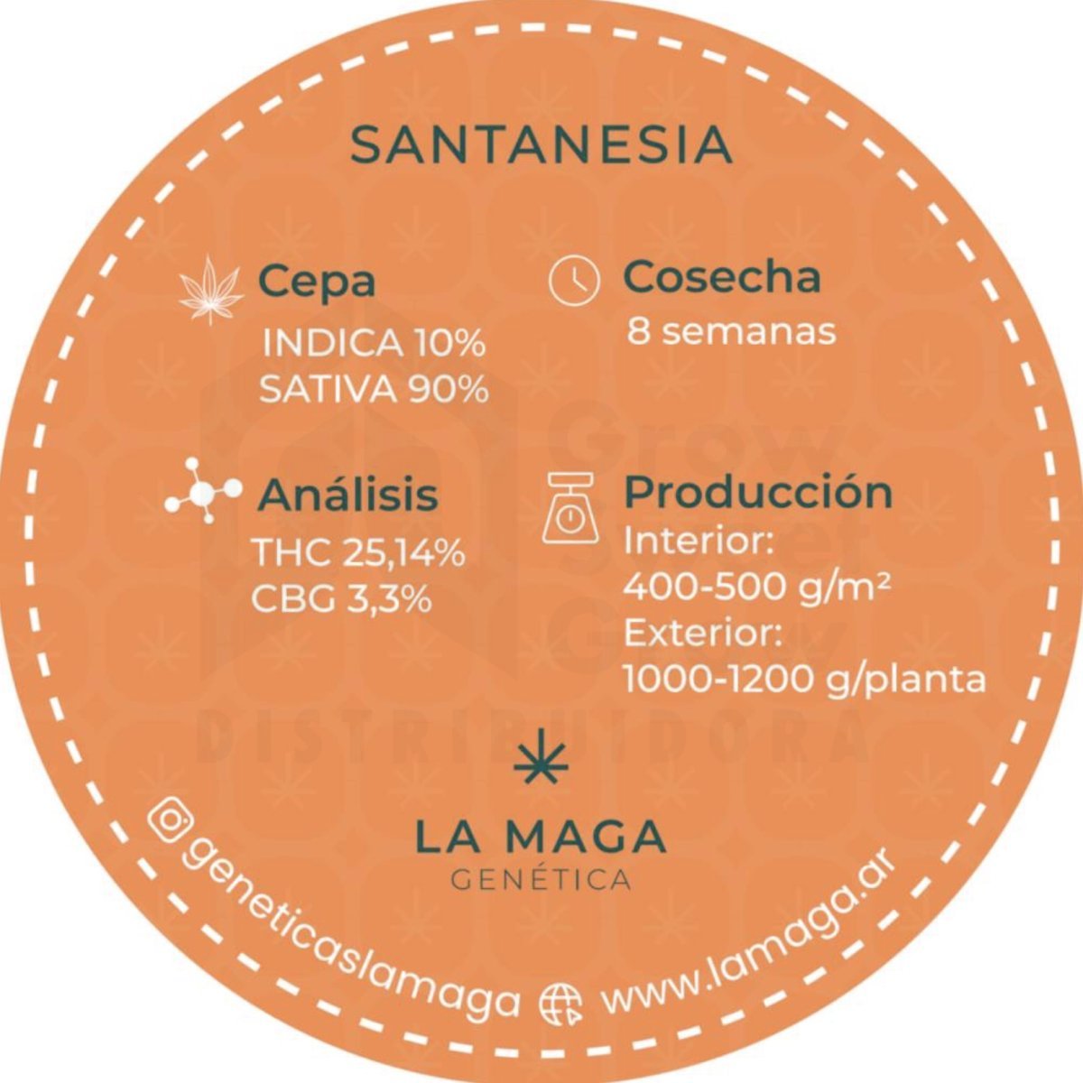 PLANTIN - SANTANESIA